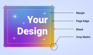 Article preview with DTP project with Bleeds, Trim Marks, Margin and Page Edge.